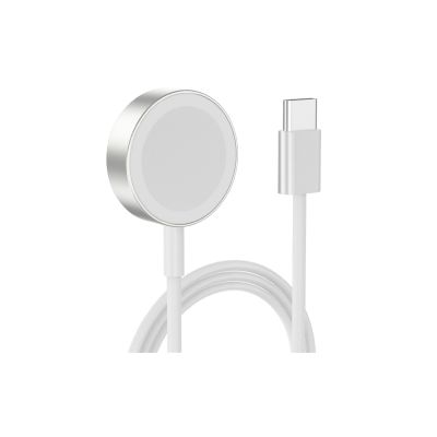 Green Lion Magnetic Charging Cable 1.2M (USB-C Interface) for iWatch - Silver
