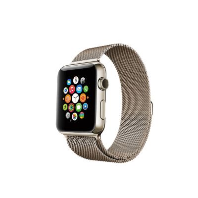Porodo iGuard Steel Mesh Watch Band For Apple Watch-45MM-Gold